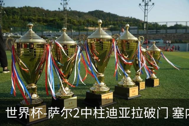 世界杯-萨尔2中柱迪亚拉破门 塞内加尔半场暂1-0比利时