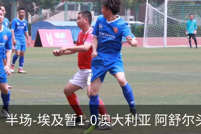 半场-埃及暂1-0澳大利亚 阿舒尔头球破门哈菲兹助攻沃尔帕托中框
