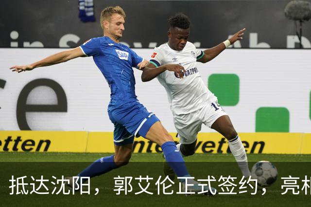 抵达沈阳，郭艾伦正式签约，亮相新岗位，和杨鸣再次联手