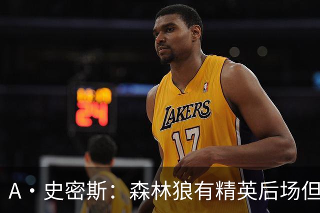 A·史密斯：森林狼有精英后场但体型变小 难应对雷霆马刺火箭掘金